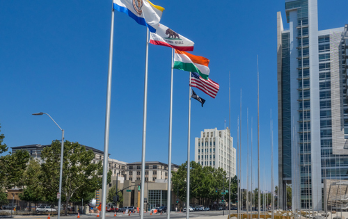 Trees and City of San Jose city hall arborist division